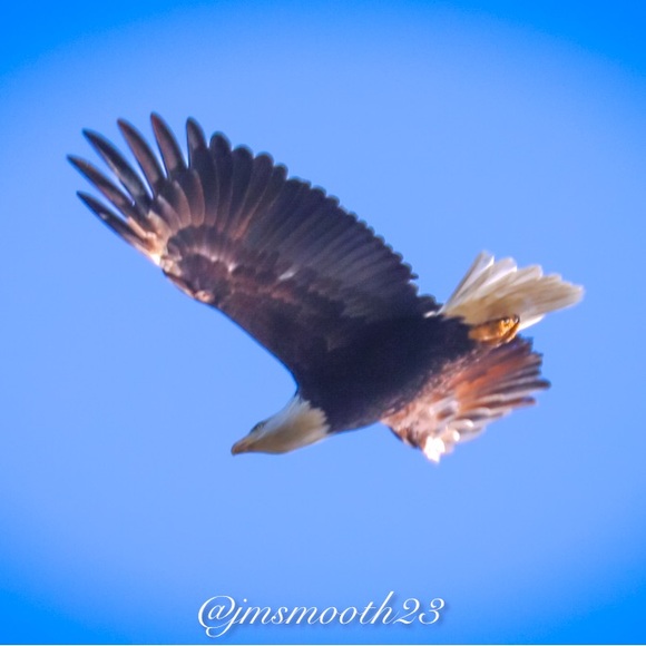 🔜SALE ITEMS EXPIRING SOON‼️ scroll down to see all the great sale items - Picture 13 of 13